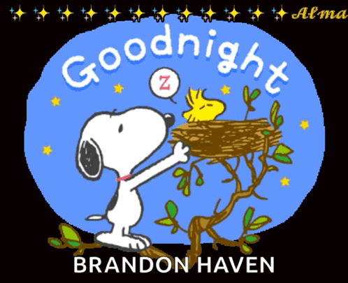 A Cartoon Of Snoopy And Woodstock Saying Goodnight By Brandon Haven GIF