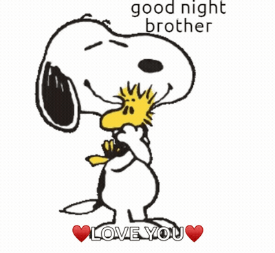 A Cartoon Of Snoopy And Woodstock Says Good Night Brother Love You GIF