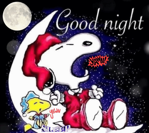 A Cartoon Of Snoopy And Woodstock Sitting On A Crescent Moon . GIF