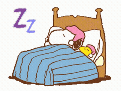 A Cartoon Of Snoopy And Woodstock Sleeping In A Bed With The Letter Z Above Them GIF