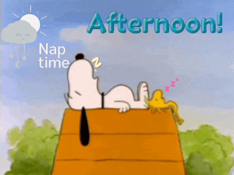 A Cartoon Of Snoopy And Woodstock Sleeping On Top Of A Wooden House With The Words Afternoon Nap Time Above Them GIF