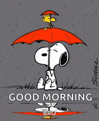 A Cartoon Of Snoopy And Woodstock Under An Umbrella With The Words Good Morning Bro Below Them GIF