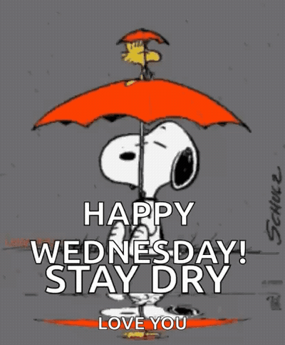 A Cartoon Of Snoopy Holding An Orange Umbrella With The Words `` Happy Wednesday ! Stay Dry Love You '' GIF