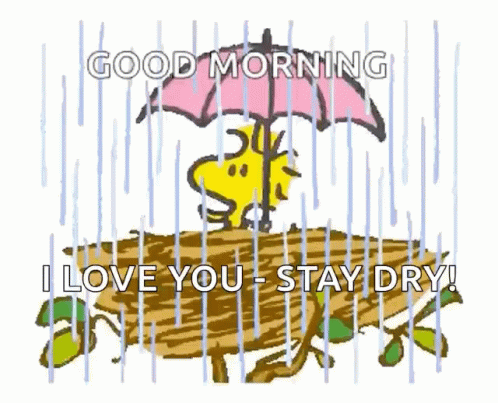 A Cartoon Of Snoopy Holding An Umbrella In The Rain With The Words " Good Morning I Love You Stay Dry " GIF