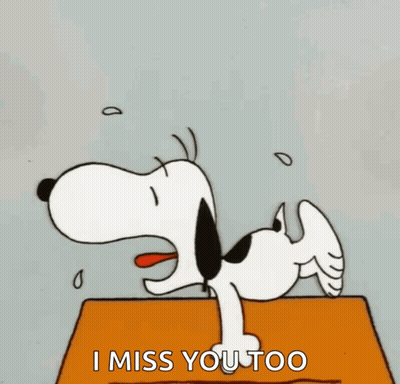 A Cartoon Of Snoopy Laying On A Box With The Words I Miss You Too GIF