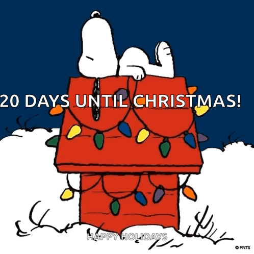 A Cartoon Of Snoopy Laying On A Chimney With Christmas Lights Around It GIF