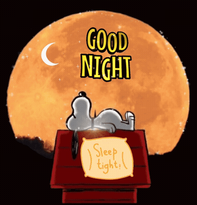 A Cartoon Of Snoopy Laying On A Doghouse With The Words Good Night Sleep Tight GIF
