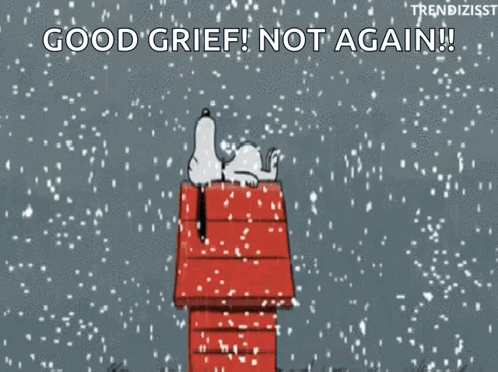 A Cartoon Of Snoopy Sitting On Top Of A Shack In The Snow . GIF