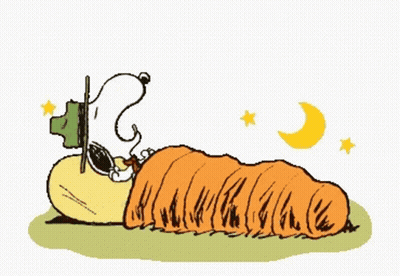 A Cartoon Of Snoopy Sleeping In A Sleeping Bag With The Words Good Night Written Above Him GIF