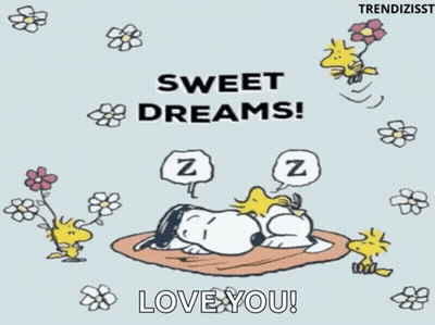 A Cartoon Of Snoopy Sleeping With The Words Sweet Dreams GIF