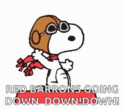 A Cartoon Of Snoopy Wearing A Helmet And Scarf With The Words Red Barrons Going Down Down Down . GIF