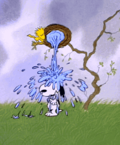 A Cartoon Of Snoopy With Water Pouring Out Of A Bird Nest GIF