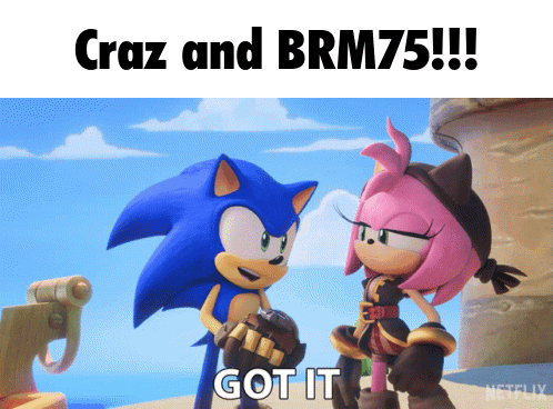 A Cartoon Of Sonic And Amy Standing Next To Each Other With The Caption Craz And Brm75 Got It GIF