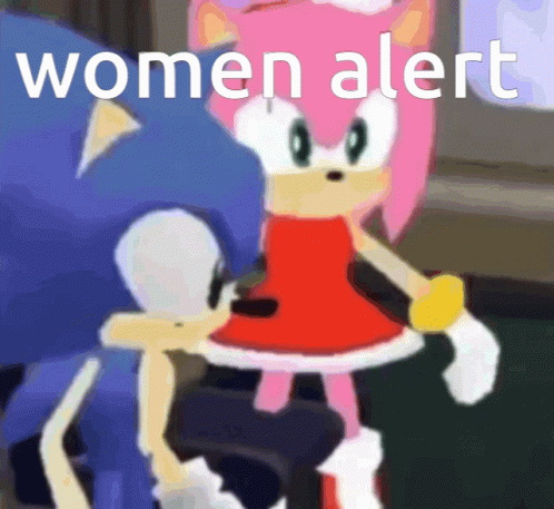 A Cartoon Of Sonic And Amy With The Words " Women Alert " GIF