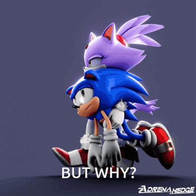 A Cartoon Of Sonic The Hedgehog And Blaze The Cat With The Words But Why Below Them GIF
