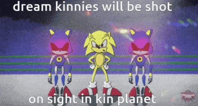 A Cartoon Of Sonic The Hedgehog And Metal Sonic With The Caption Dream Kinnies Will Be Shot On Sight In Kin Planet GIF