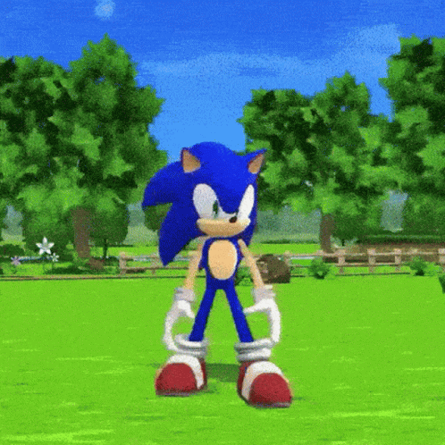 A Cartoon Of Sonic The Hedgehog Standing In A Grassy Field GIF