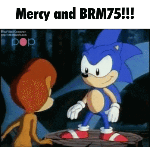 A Cartoon Of Sonic The Hedgehog Standing Next To A Lion With The Caption Mercy And Brm75 !!! GIF