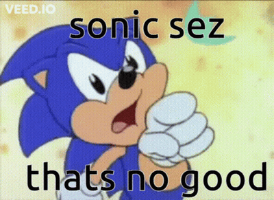 A Cartoon Of Sonic The Hedgehog With The Caption Sonic Sez That 'S No Good GIF