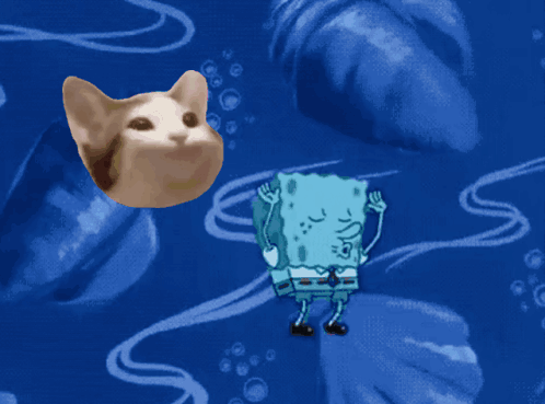 A Cartoon Of Spongebob And A Cat Floating In The Water GIF