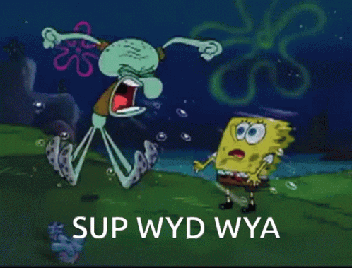 A Cartoon Of Spongebob And Squidward With The Caption " Sup Wyd Wya " GIF