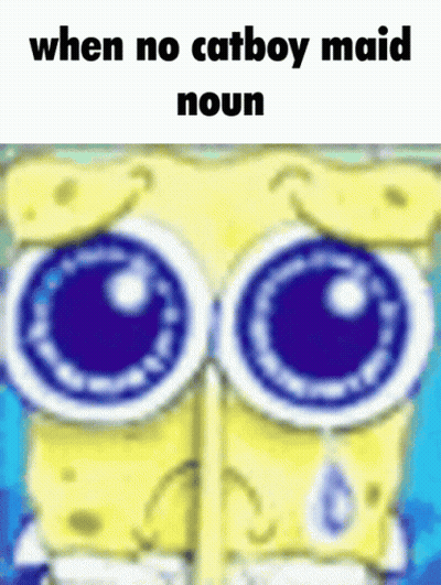 A Cartoon Of Spongebob Crying With The Words When No Catboy Maid Noun GIF