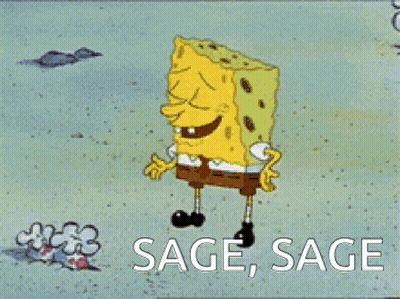A Cartoon Of Spongebob Laughing With The Words Sage Sage Above Him GIF