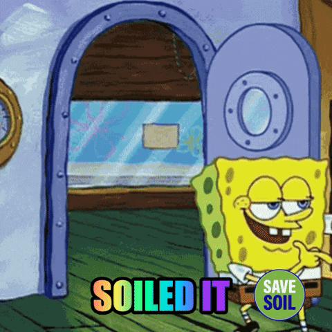 A Cartoon Of Spongebob Saying " Soiled It " GIF