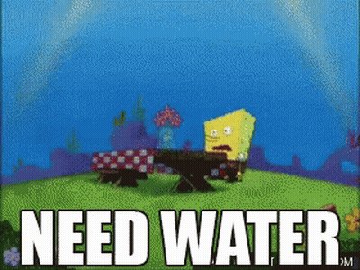 A Cartoon Of Spongebob Sitting At A Picnic Table Says Need Water GIF