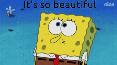 A Cartoon Of Spongebob With The Words " It 'S So Beautiful " Above Him GIF