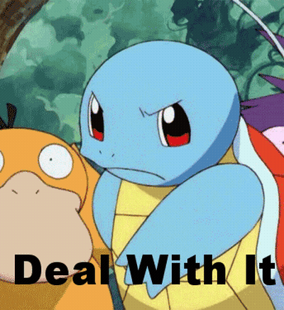 A Cartoon Of Squirtle And A Duck With The Words Deal With It Below It GIF