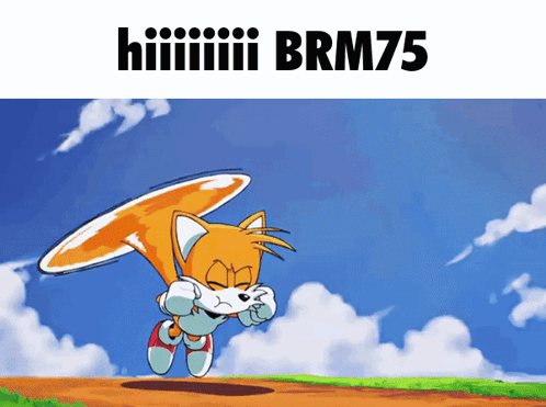 A Cartoon Of Tails Holding A Frisbee With The Words Brm75 Below Him GIF