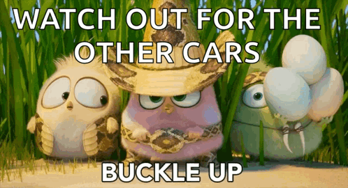 A Cartoon Of Three Birds With The Words Watch Out For The Other Cars Buckle Up On The Bottom GIF