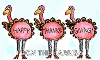 A Cartoon Of Three Turkeys Holding Signs That Say Happy Thanks Giving . GIF