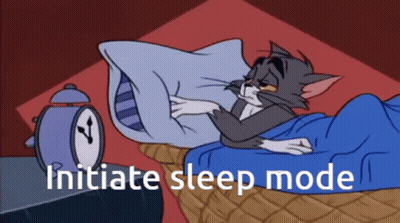 A Cartoon Of Tom And Jerry With The Words Initiate Sleep Mode GIF