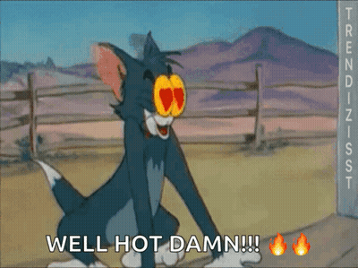 A Cartoon Of Tom And Jerry With The Words Well Hot Damn GIF
