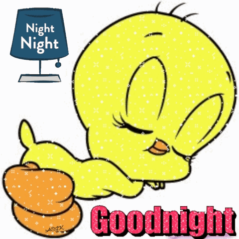 A Cartoon Of Tweety Giving A Thumbs Up With The Words Night Night Behind Him GIF