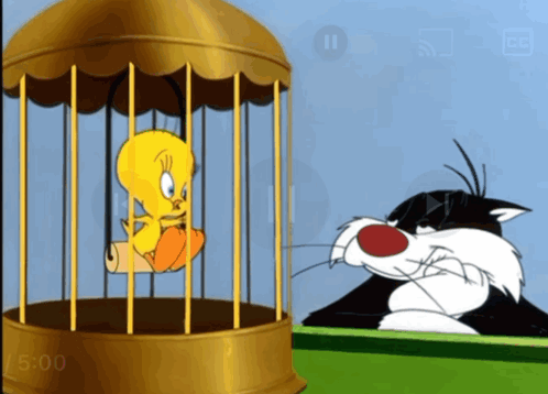 A Cartoon Of Tweety In A Cage And Sylvester GIF