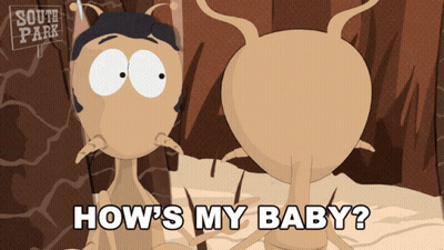 A Cartoon Of Two Ants With The Words How 'S My Baby On The Bottom GIF