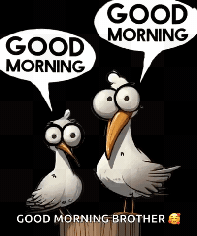 A Cartoon Of Two Birds With Big Eyes Saying Good Morning GIF