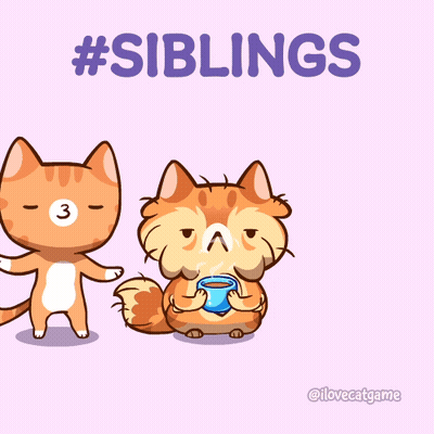 A Cartoon Of Two Cats Drinking From A Blue Cup With The Words #Siblings Above Them GIF