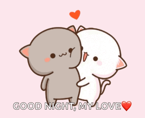 A Cartoon Of Two Cats Hugging Each Other With The Words Good Night My Love GIF