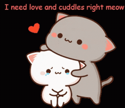 A Cartoon Of Two Cats Hugging Each Other With The Words I Need Love And Cuddles Right Meow Below Them GIF