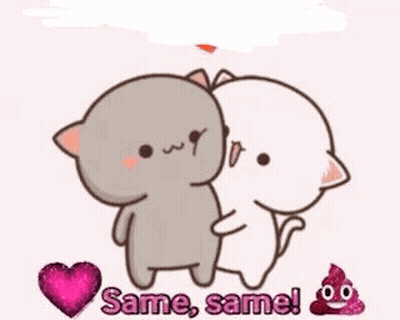 A Cartoon Of Two Cats Hugging Each Other With The Words `` Same , Same ! '' . GIF
