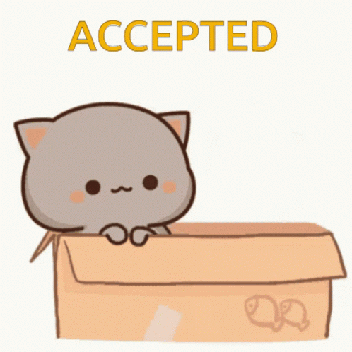 A Cartoon Of Two Cats In A Box With The Word Accepted Above Them GIF
