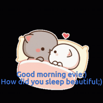 A Cartoon Of Two Cats Laying In A Bed With The Words Good Morning Evie GIF