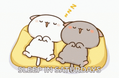 A Cartoon Of Two Cats Sleeping On A Bed With The Words Sleep In Saturdays Above Them GIF
