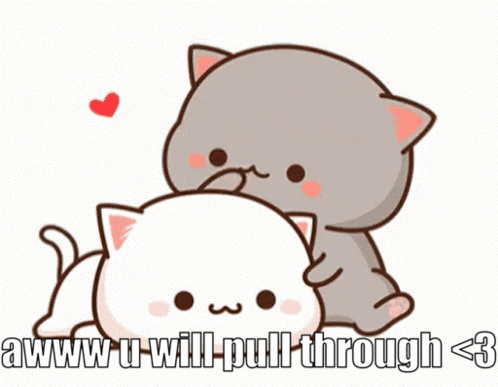 Two Cats Hugging With Aww U Will Pull Through GIF