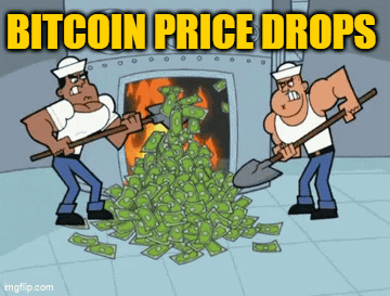 A Cartoon Of Two Men Digging In A Pile Of Money With The Words Bitcoin Price Drops Above Them GIF