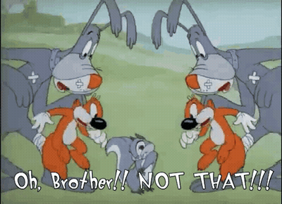 A Cartoon Of Two Rabbits And A Squirrel With The Words Oh Brother Not That Written Below Them GIF